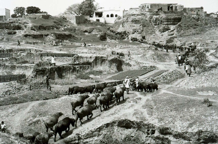 A village in Shakarparian