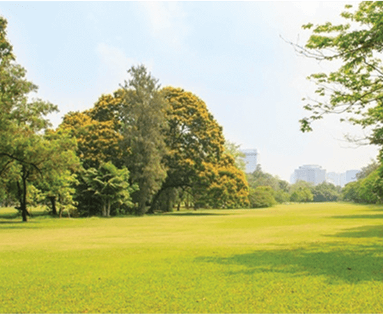 Silver city Open-Green-Spaces